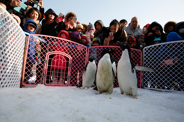 天津海昌極地海洋公園氷雪フェスティバルのイベント